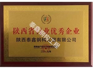 陜西省行業優.秀企業